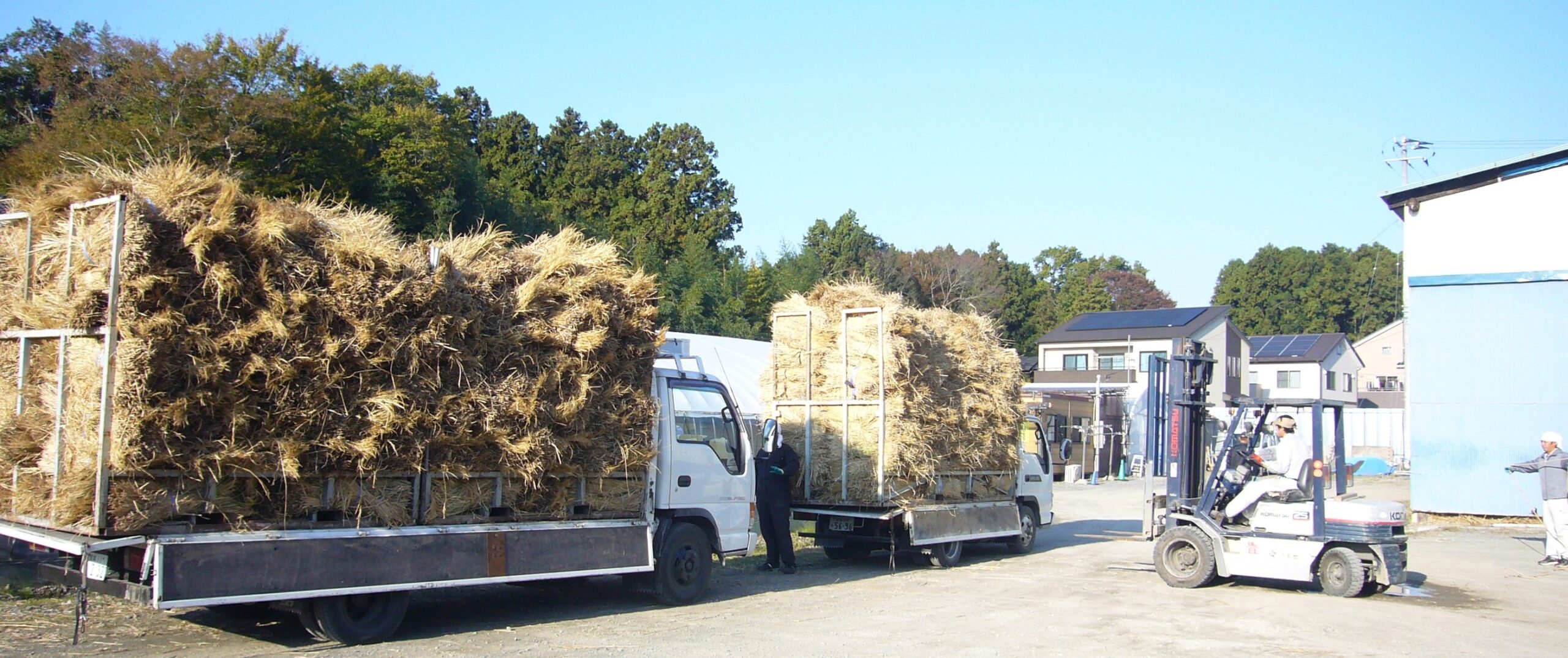 稲藁売ります - 茨城県のその他